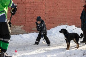 09.02.2025. Кубок Главы НГО по дворовому хоккею среди взрослых любителей 08.02.2025
 Первый тур.