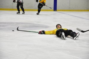 24.10.2025. Сезон 2025-2026. Фортуна - Молот. Регулярный чемпионат. Группа А.