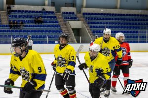 27.02.2026. Сезон 2025-2026. Самолет-2 - Фортуна-2. Регулярный чемпионат. Группа Б.