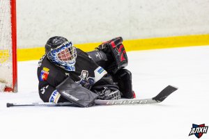 22.03.2026. Плей-офф кубка Белоусова. Полуфинал. Шторм - Викинг. 22.03.2026