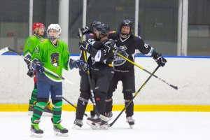 05.04.2026. Плей-офф кубка Белоусова. Полуфинал. Викиинг - Шторм. 05.04.2026.