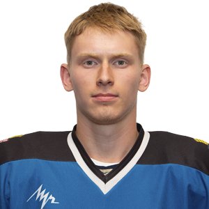 Лебедев  Артем