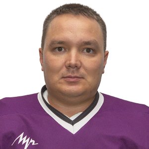 Романенко Дмитрий Владимирович