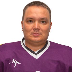 Романенко  Дмитрий  Владимирович