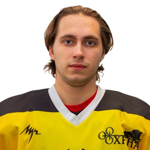 Свириденко  Илья  Денисович