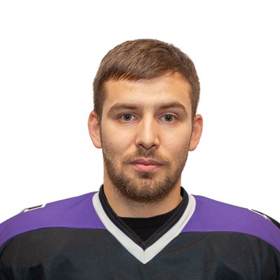 Чемерикин  Роман  Владимирович