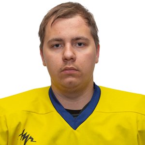 Голубцов  Дмитрий  Иванович