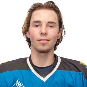 Тюрин  Лаврентий  Дмитриевич