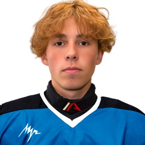 Тюрин  Лаврентий  Дмитриевич