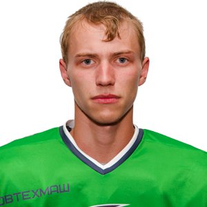 Петровых Алексей
